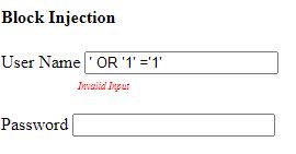 Injection Flaws.edited